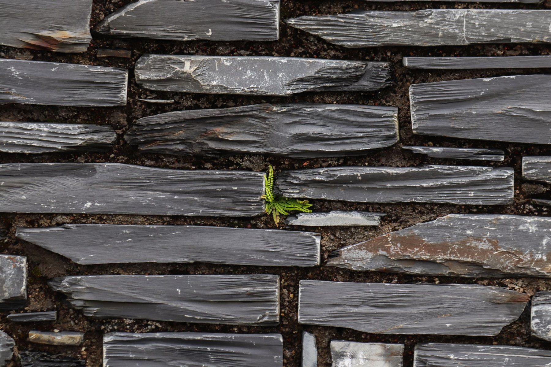 Travertine pavers & hardscape in Avondale, AZ